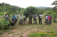 Beneficiaries with intervention goats © P. Musingarabwi
