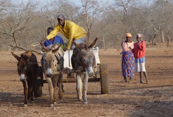 Donkey Kart and women © A. Caron