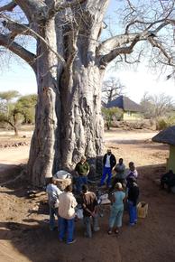 Baobab Meeting @ A. Caron
